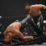 AEW Fight Forever PS4 - Image 3
