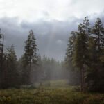 Hunting Simulator 2 PS5 - Image 2