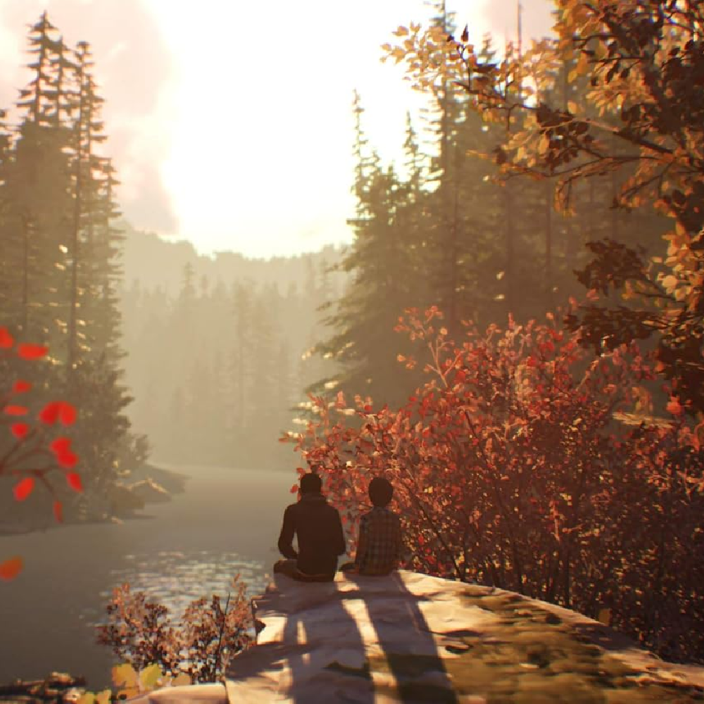 New Project (49) Life is Strange 2 Xbox One - Image 3